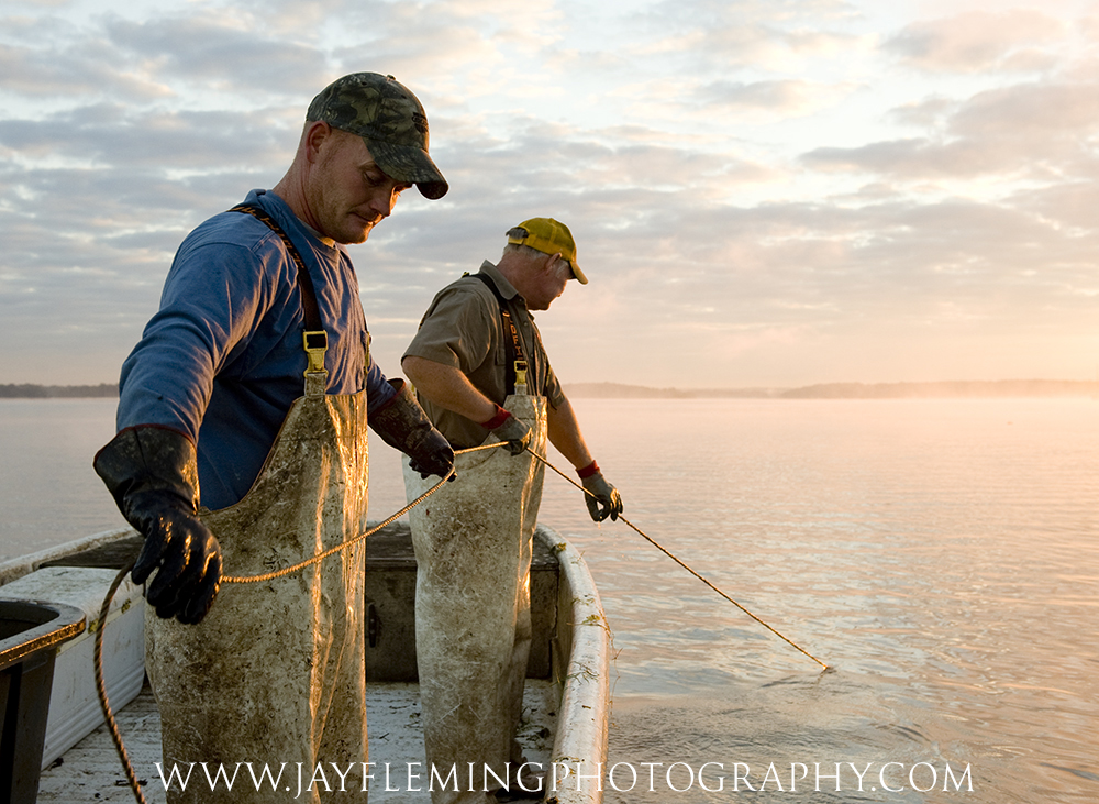 Blue Catfish - National Fisherman -      © Jay Fleming Photography        -        13.jpg