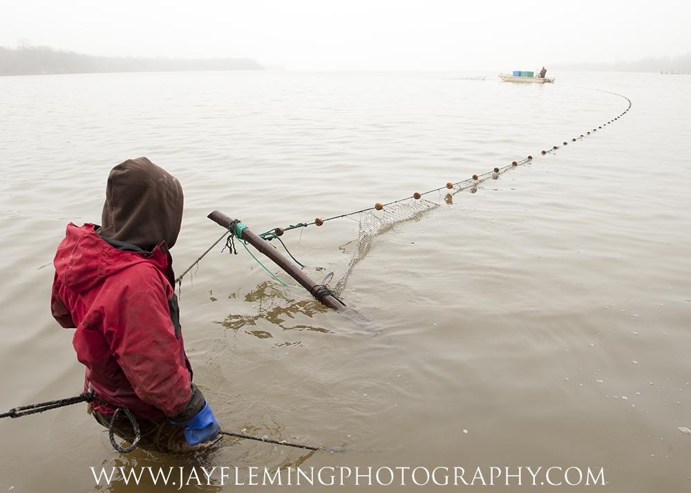 Blue Catfish - National Fisherman -      © Jay Fleming Photography        -        09.jpg