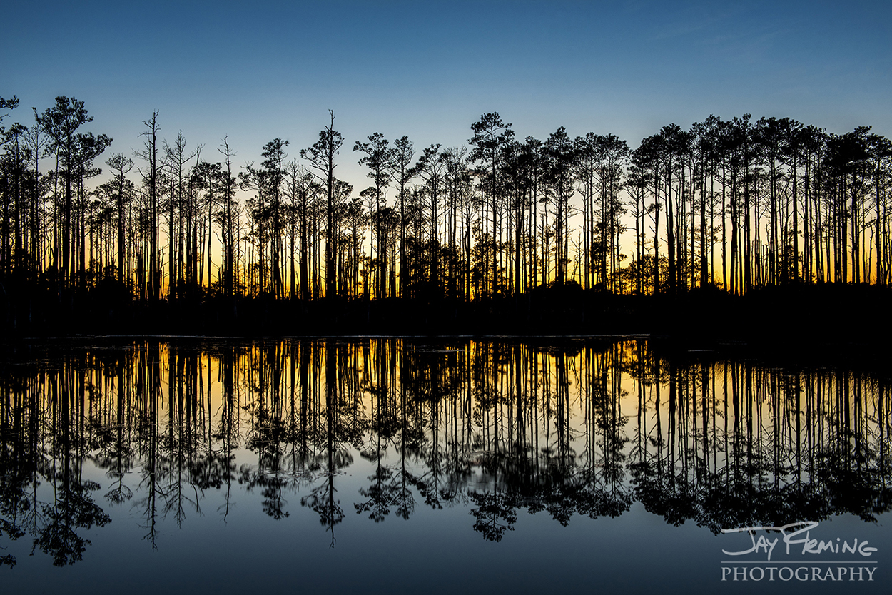 Blackwater Reflections © Jay Fleming.jpg