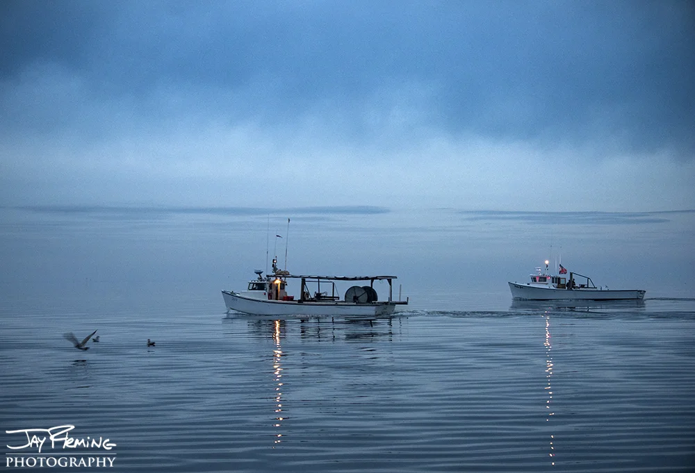 Workboats leaving Saxis, Virginia for a day of oyster dredging in Pocomoke Sound 