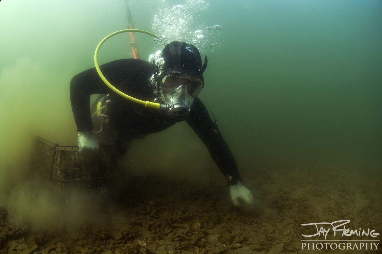 Fall 2016 - Working the Water - © Jay Fleming - 11.jpg