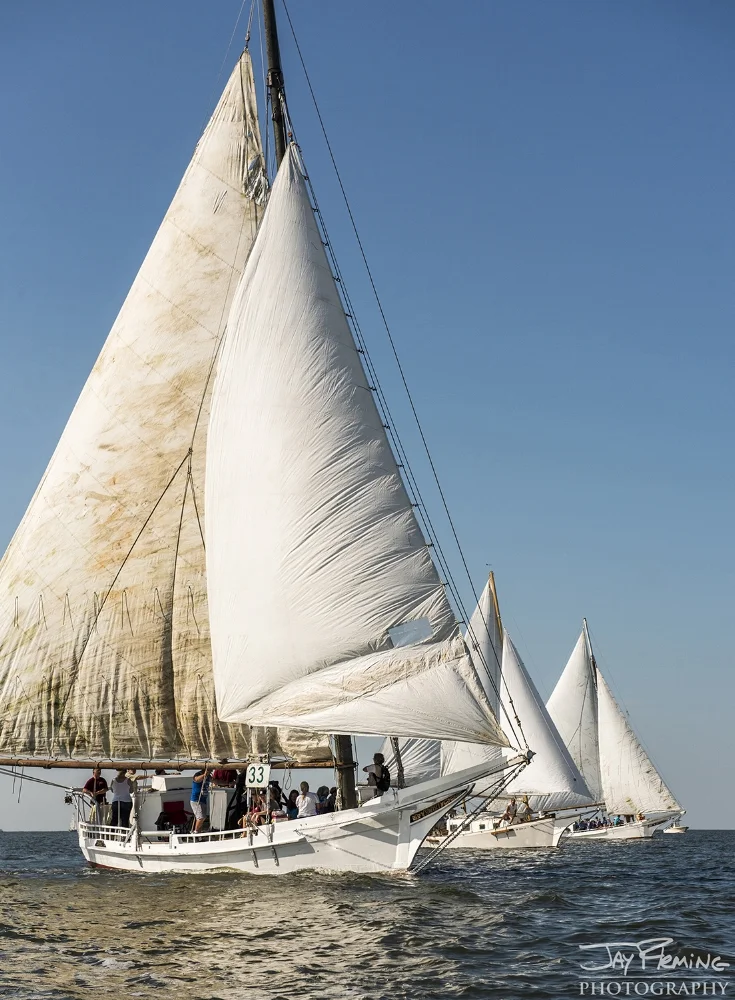 The skipjack Somerset&nbsp;at the lead during the beginning of the race