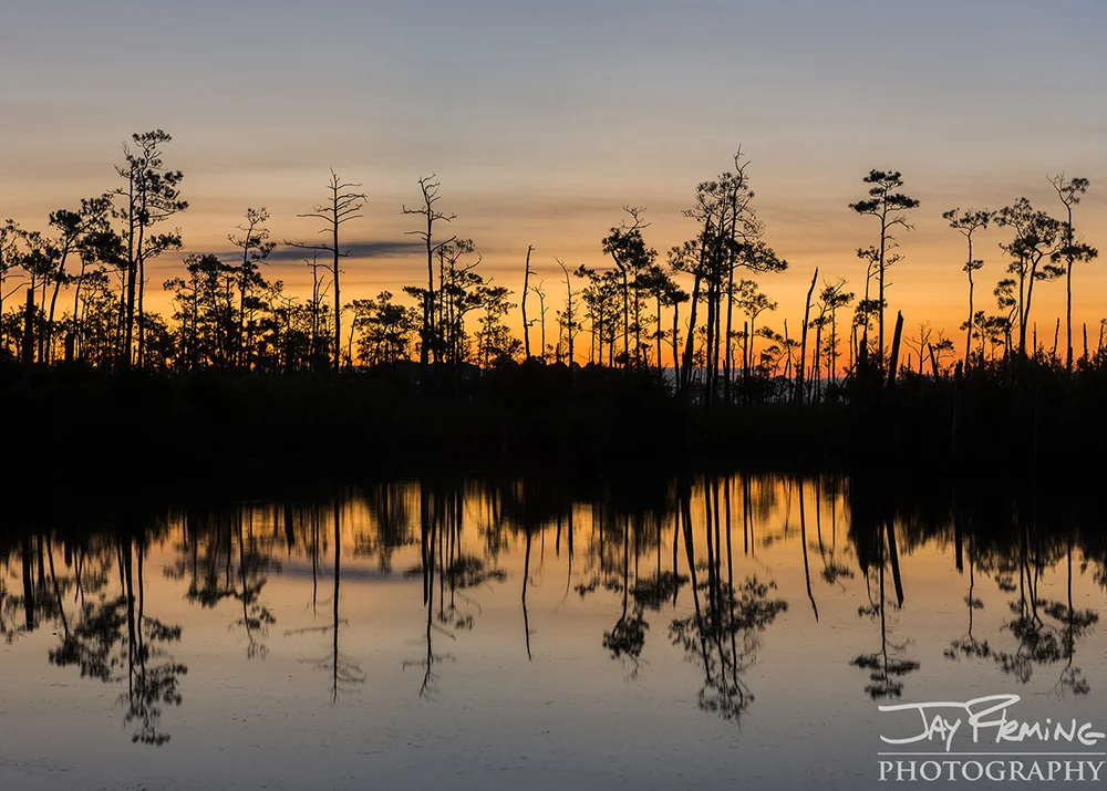 Hoopers Island© Jay Fleming12.jpg