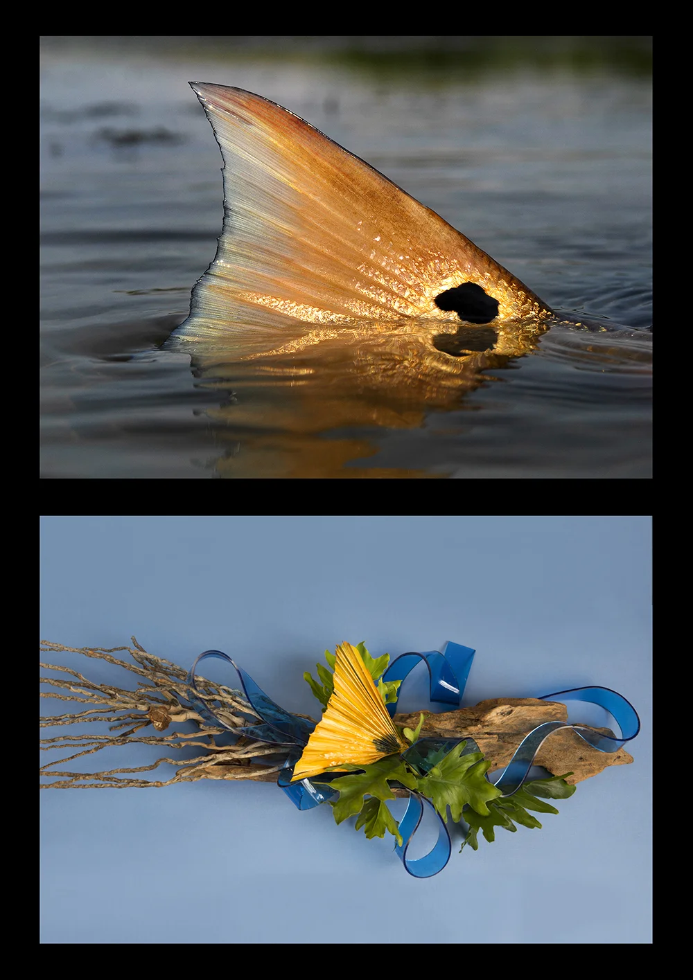 The photo of the Red Drum tail was interpreted by Faye Phillips of Dorchester Garden club and illustrated the Low Profile Design.