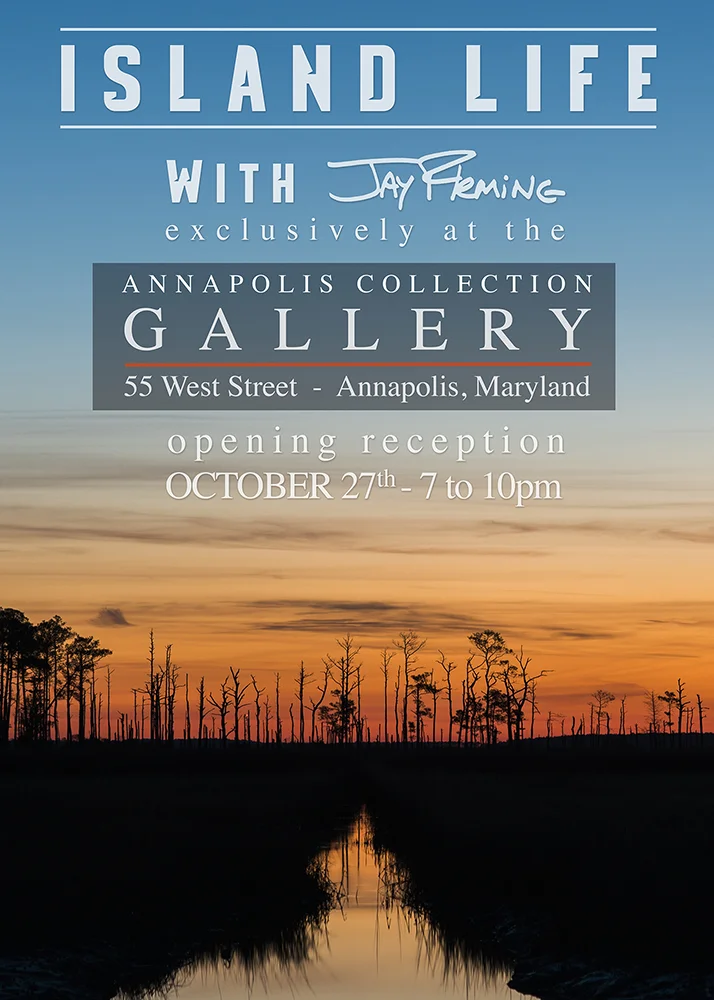 October 27th - Island Life Reception.jpg