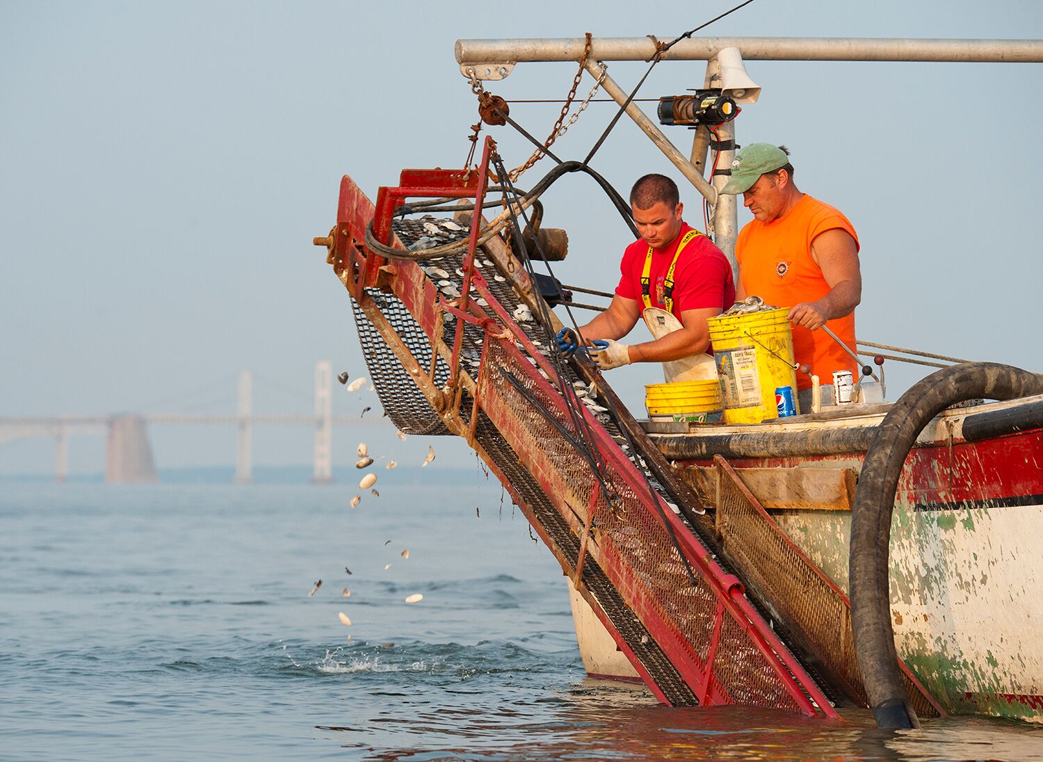 Clamming © Jay Fleming04_preview.jpeg