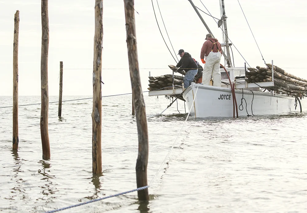 Reedville, Virginia Pound Netting Setting Poles — Jay Fleming