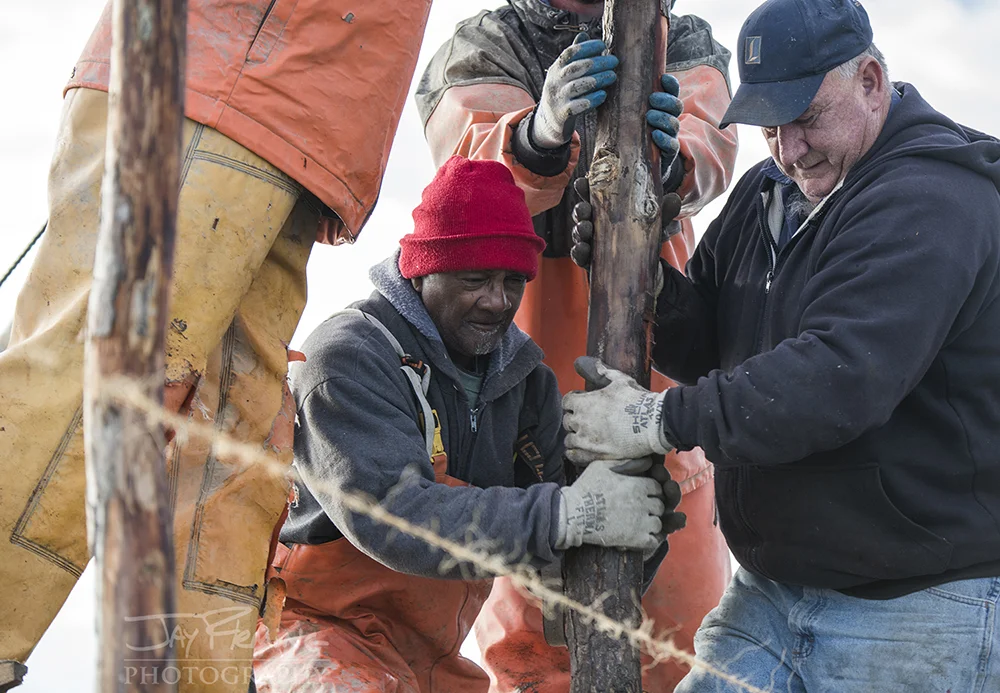 Reedville Pound Net Pole Setting © Jay Fleming - 13.jpg