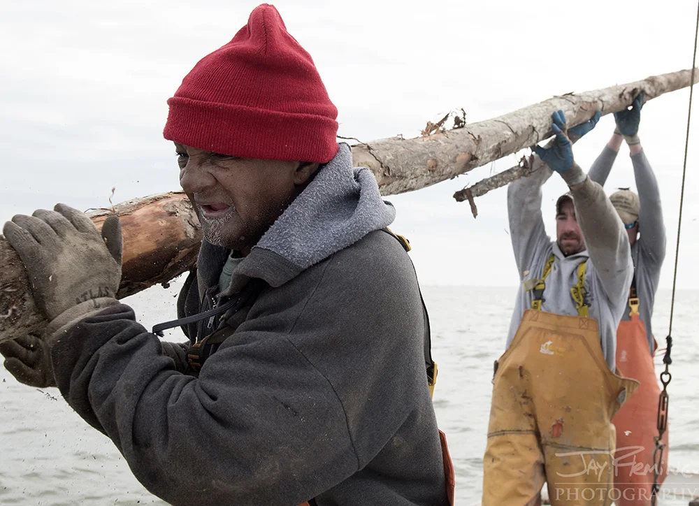 Reedville Pound Net Pole Setting © Jay Fleming - 07.jpg