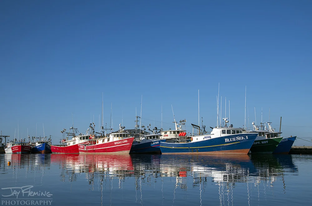 The Tuna long-lining fleet out of Dulac is run by Vietnamese captains. There are approximately 30 long-lining boats left in the Gulf of Mexico - in Dulac and Panama City Beach. 