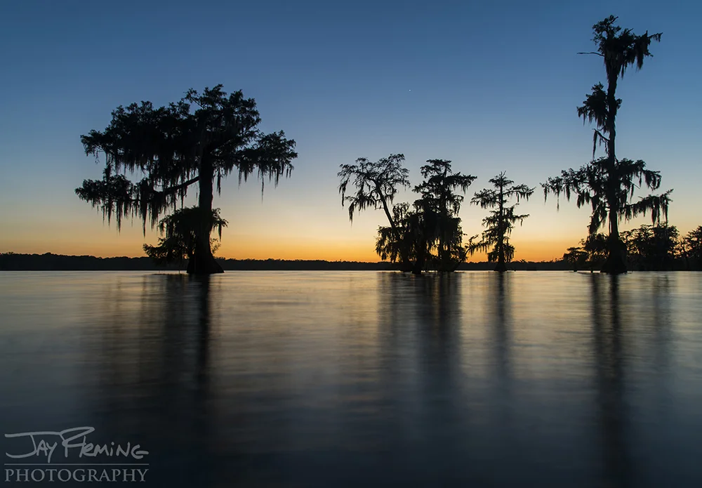 Louisiana © Jay Fleming 12.jpg