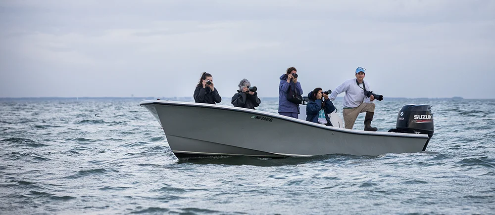 Shooting from the skiff in Back Cove, one of the islands most productive oystering and crabbing grounds. 