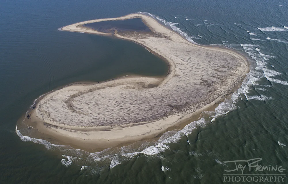 Dawson's Shoal is a waterbird nesting site at the mouth of Wachapreague Inlet. 