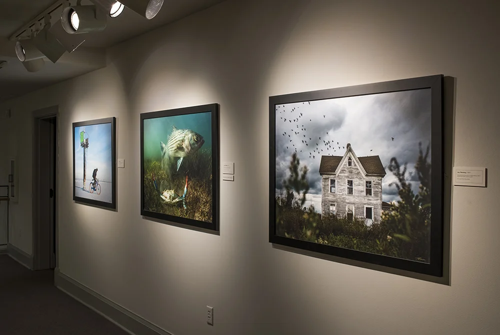 AAM Exhibit Island Life © Jay Fleming 09.jpg