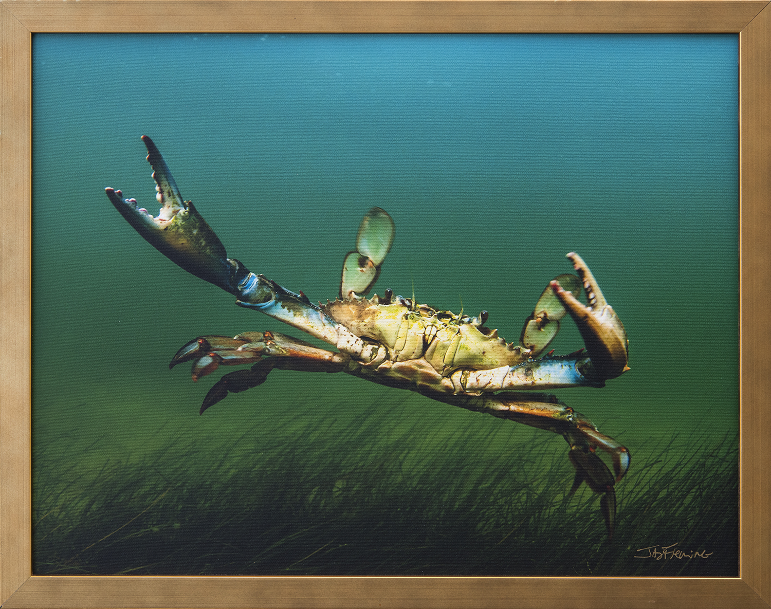 Custom Framed Canvas Print- © Jay Fleming11.jpg