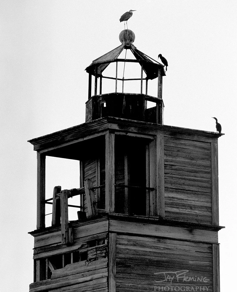 JPF_3293.jpg