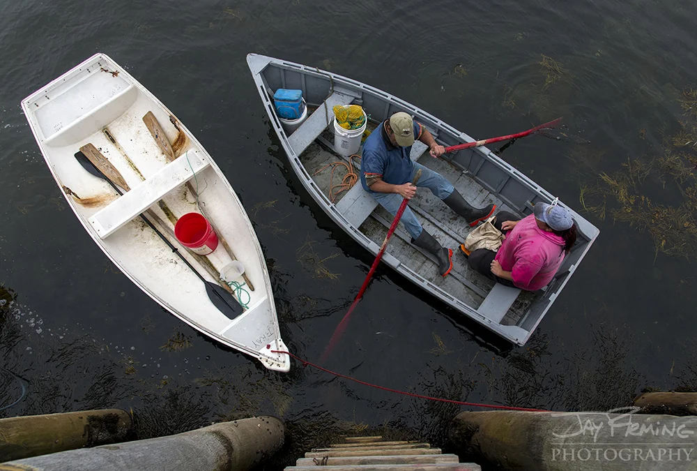 Lobsterman, Clayton Philbrook, rowing his skiff back to the wharf after a day of lobstering out of Matinicus Island.