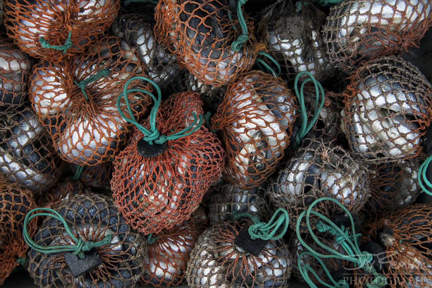Bait bags packed with Herring.
