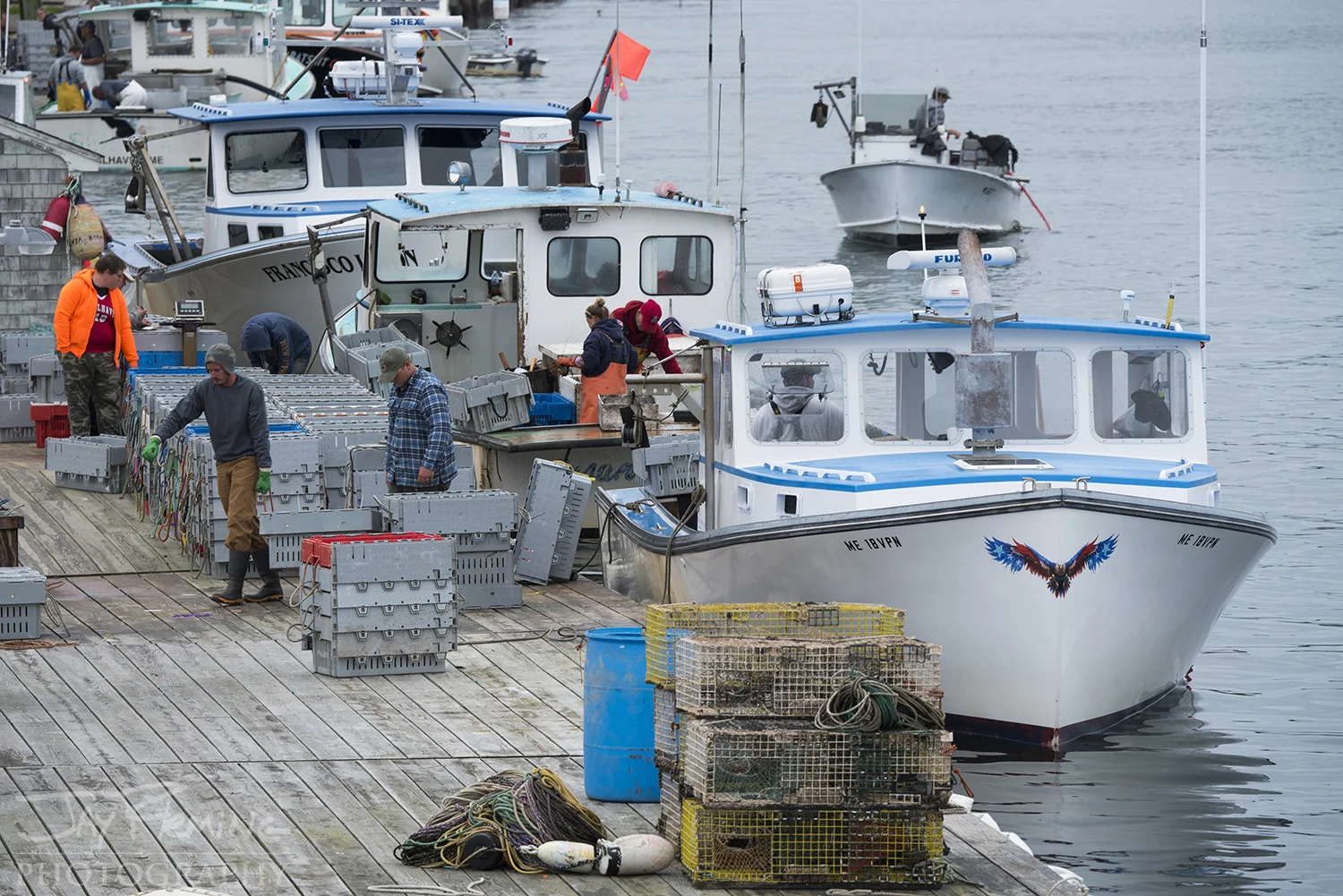 Workboats unloading lobster at Linda Bean’s lobster dock on Carver’s Harbor.