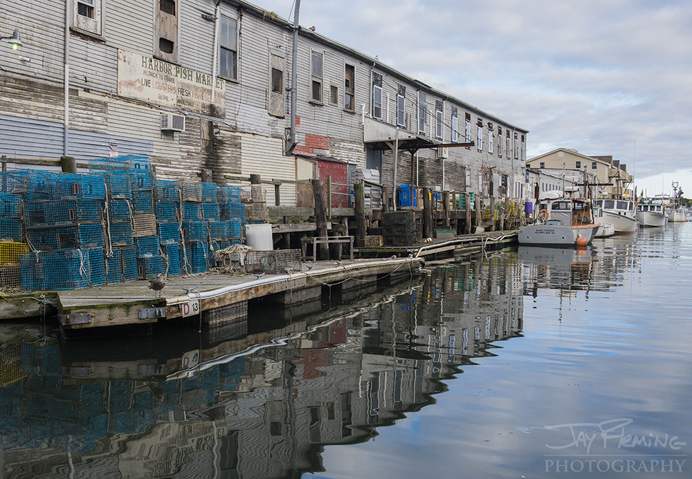 Harbor Fish Market, an icon of Portland’s working waterfront.