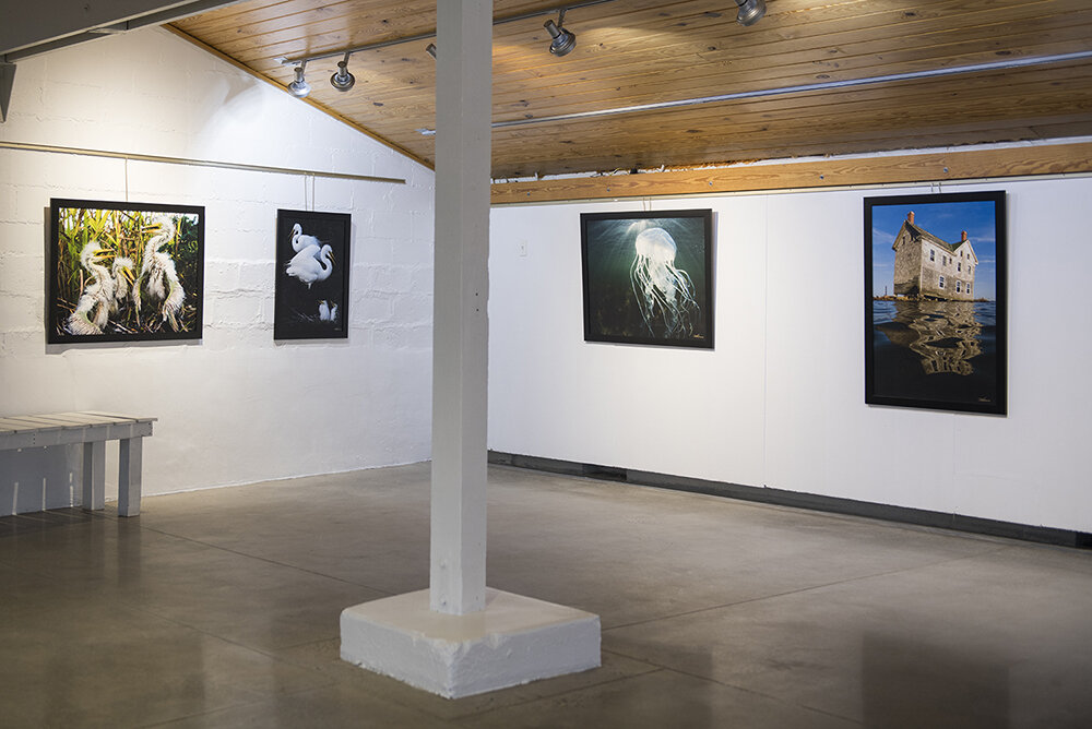 Jay+Fleming+Exhibit+-+AMM++-++©+Jay+Fleming++-+03.jpg