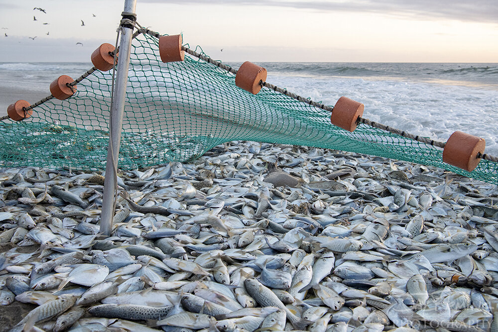 Photographing North Carolina's Beach Seine Fishery — Jay Fleming