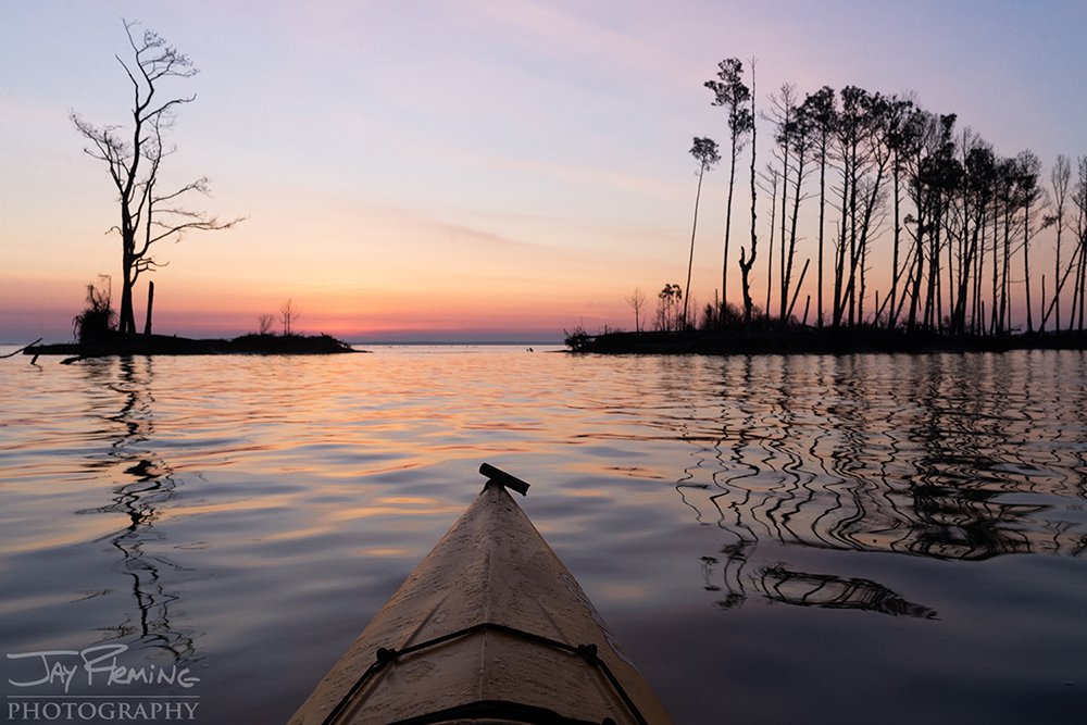 James Island April 2019 © Jay Fleming - 004.jpg