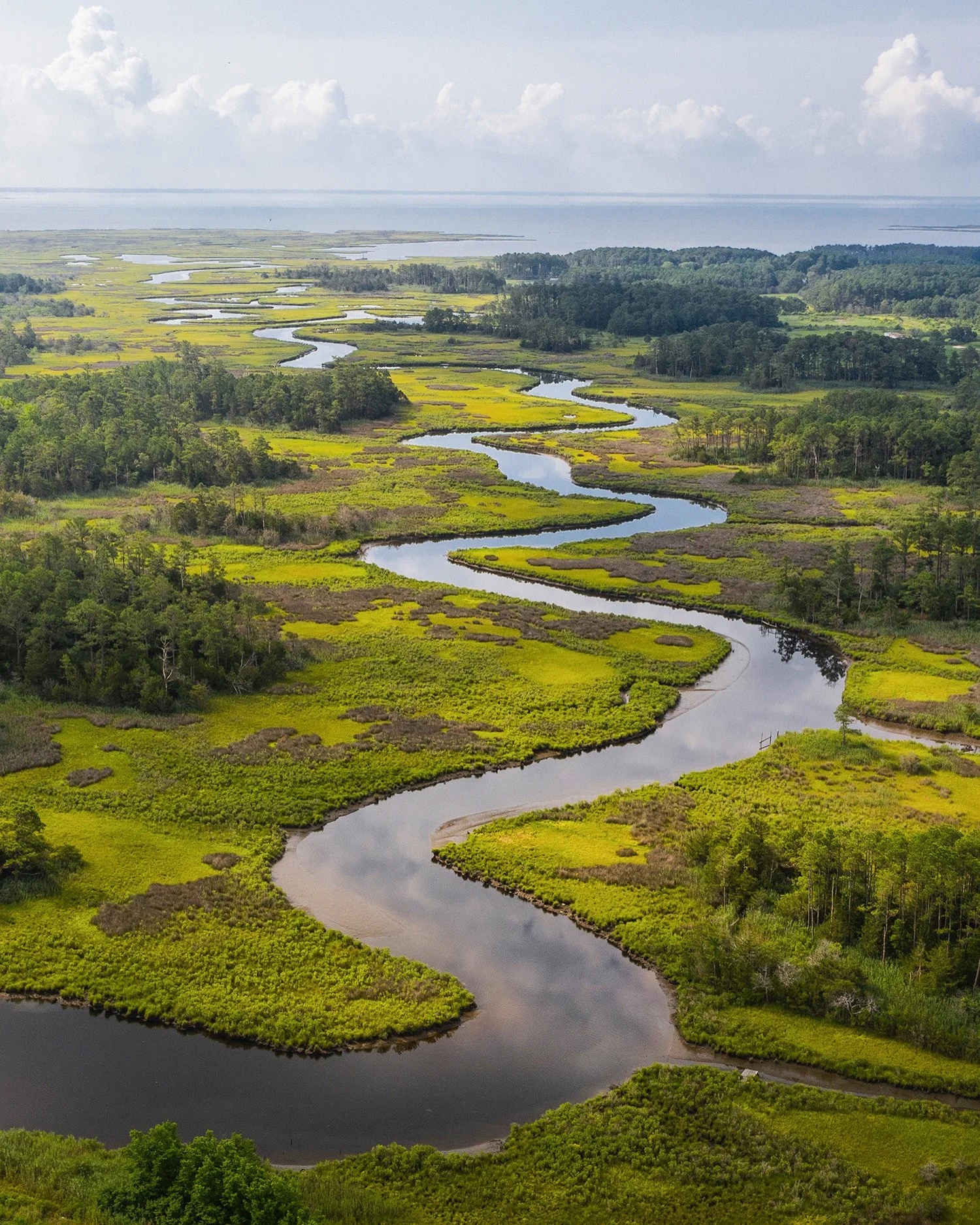 Johnson Creek Marsh © Jay Fleming.JPG