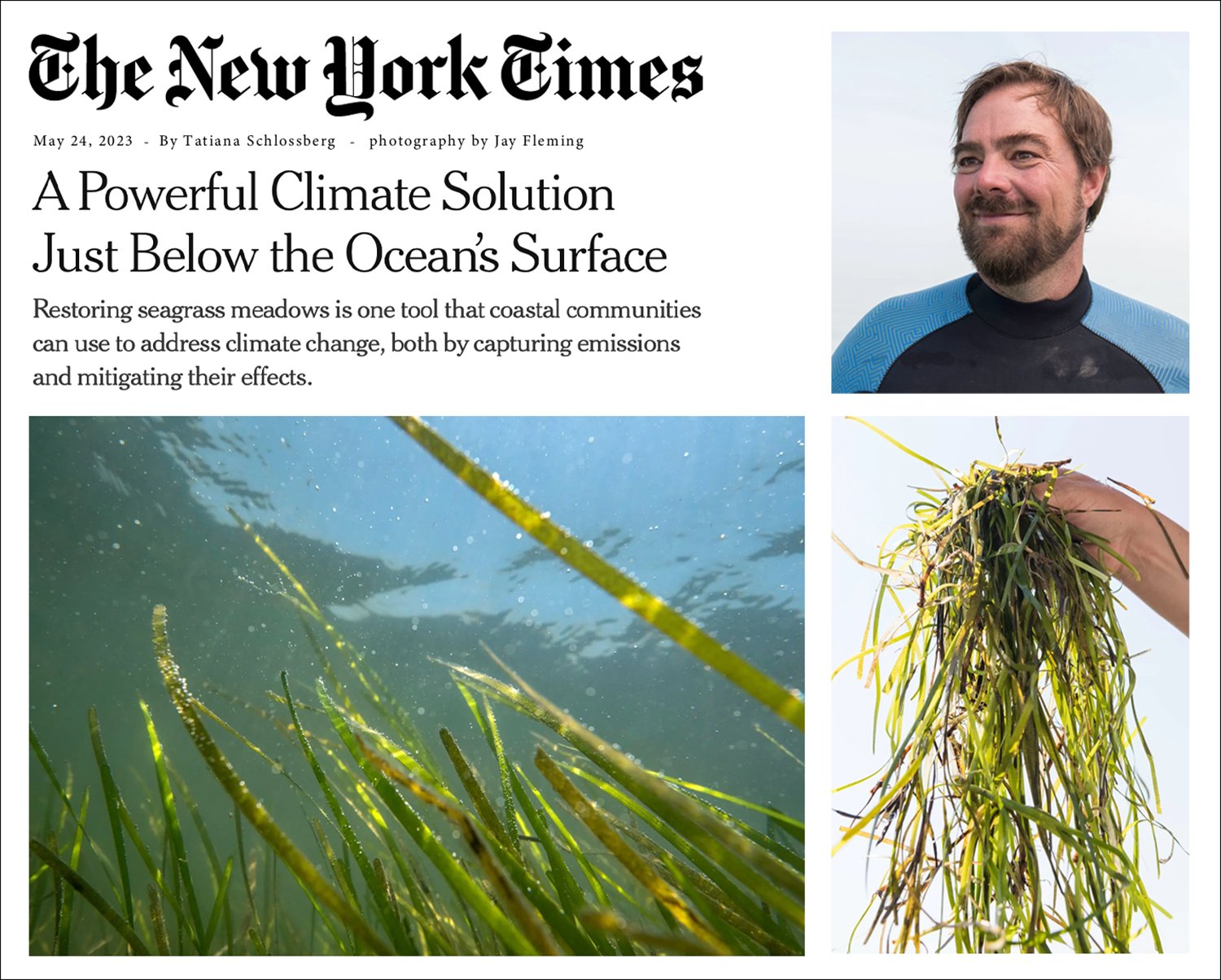 New York Times - May 2023 Eel Grass copy.jpg