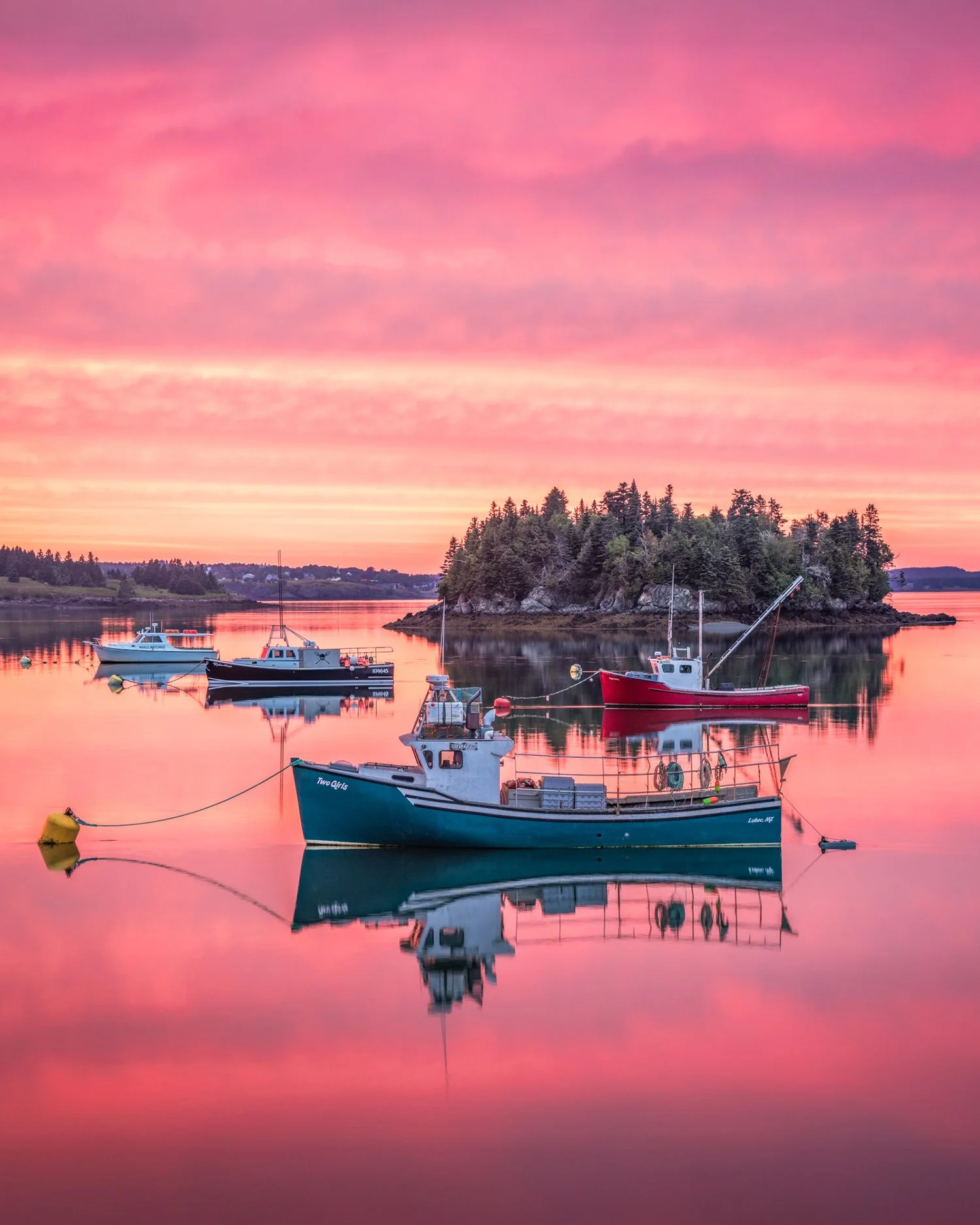 Puffins DE-46 copy.jpg