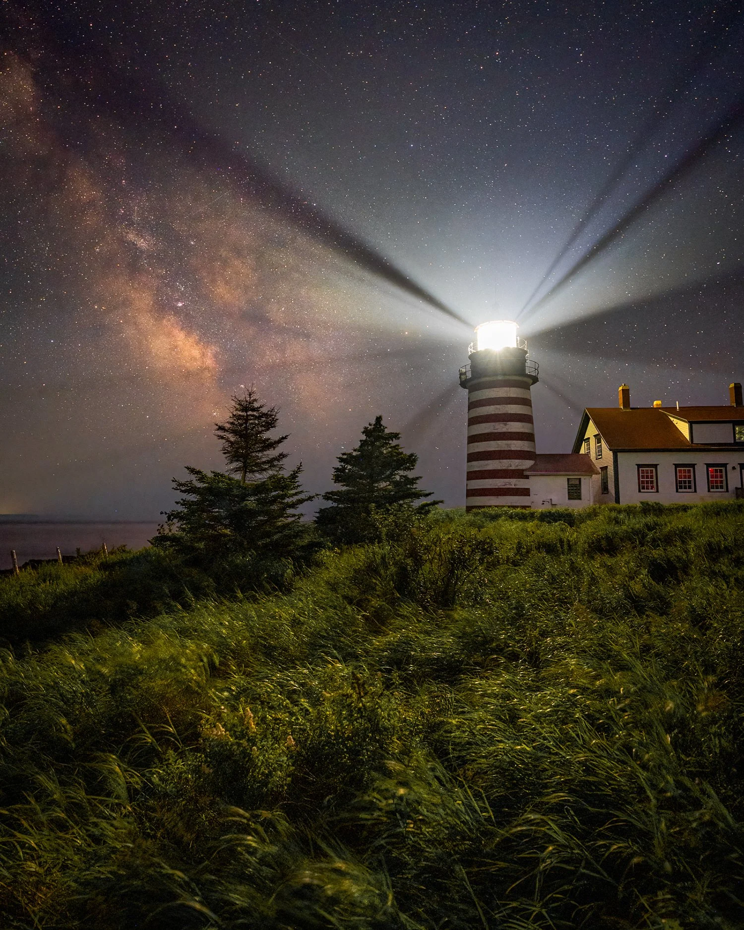 Puffins DE-6 copy.jpg