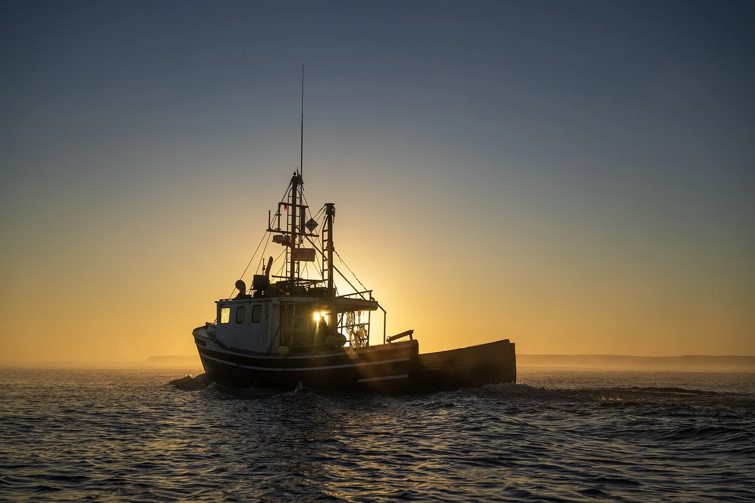 483978547_1194702728692366_5453760876196954717_n copy.jpg