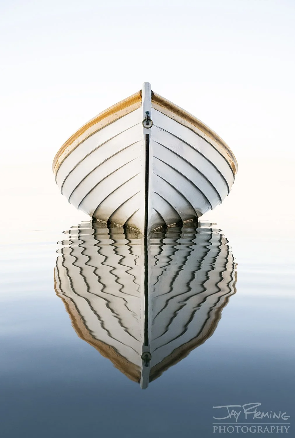 Golden Edge Bow © Jay Fleming.jpg