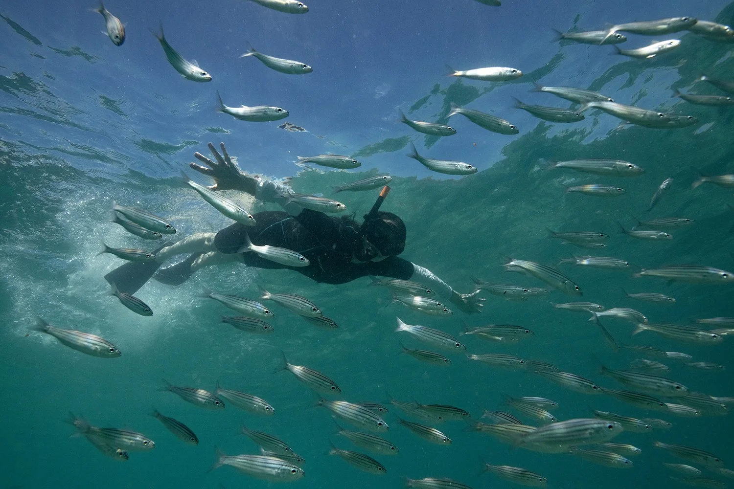 Galapagos Workshop Group - © Jay Fleming03.jpg