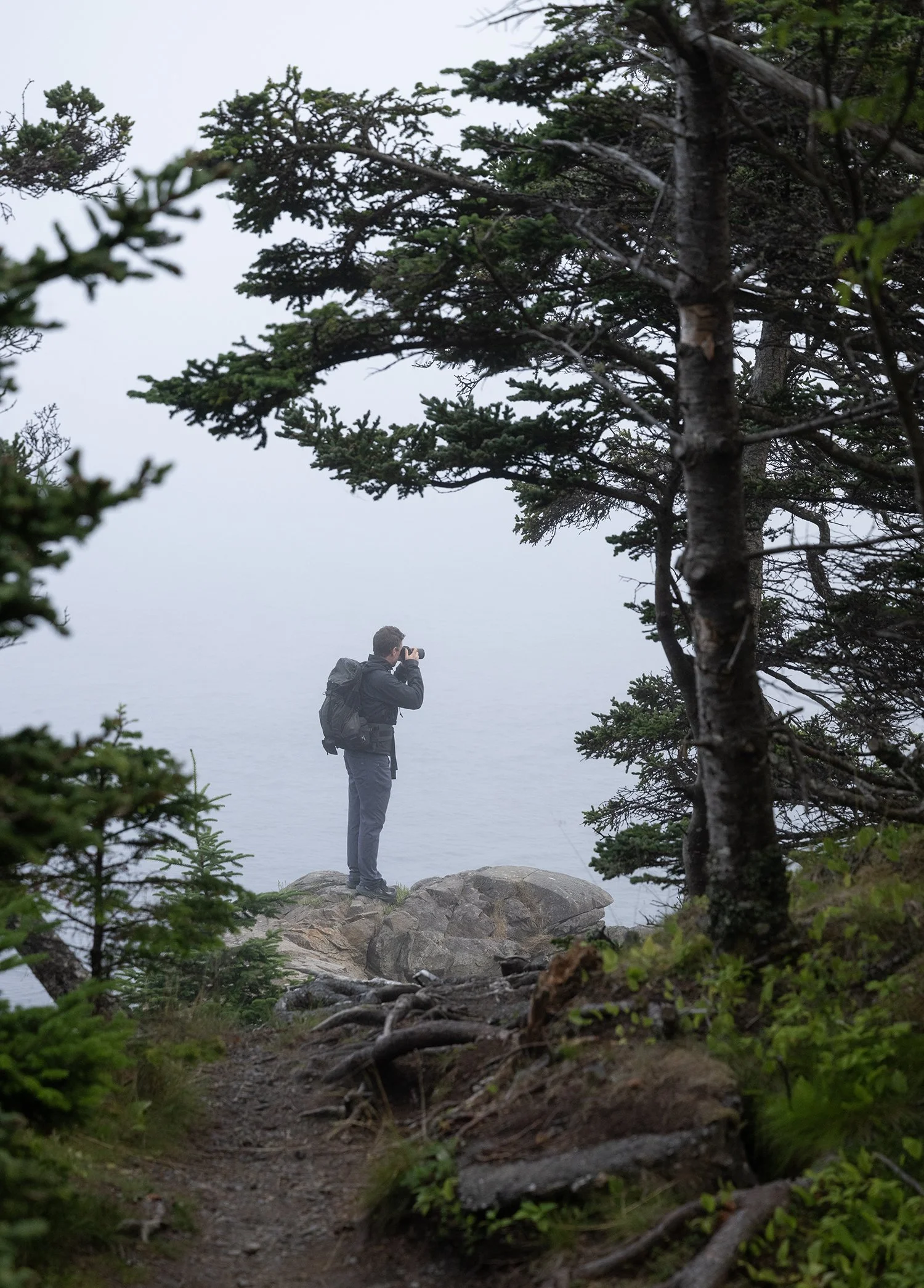 Machias Seal Island Photo Workshop 2026- © Jay Fleming10.jpg