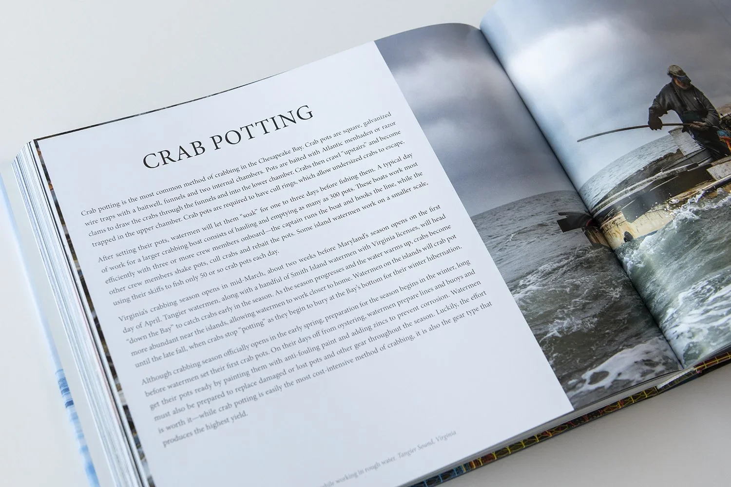 Island+Life+-+Book++-+©+Jay+Fleming+4.webp