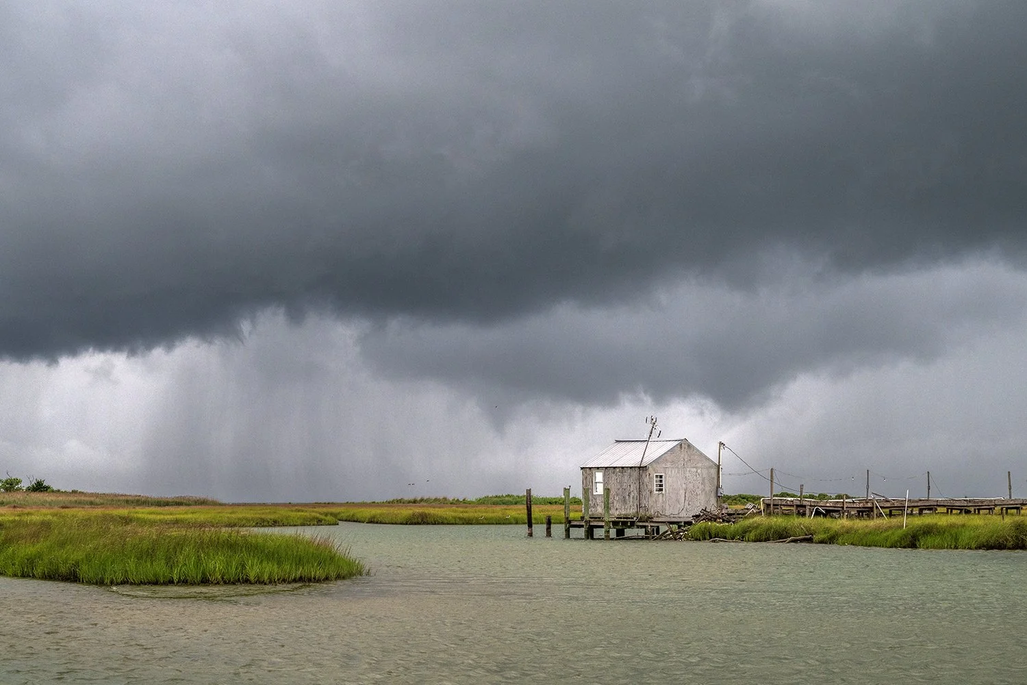SMITH ISLAND 2026- © Jay Fleming05.jpg