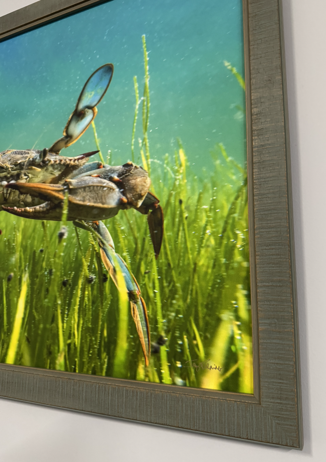 Screen Shot 2025-11-21 at 6.43.01 AM.png