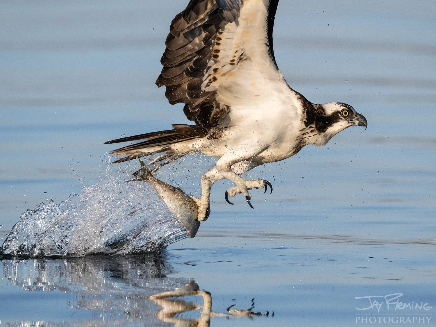 2026 Chesapeake Bay Wall Calendar © Jay Fleming04.jpg