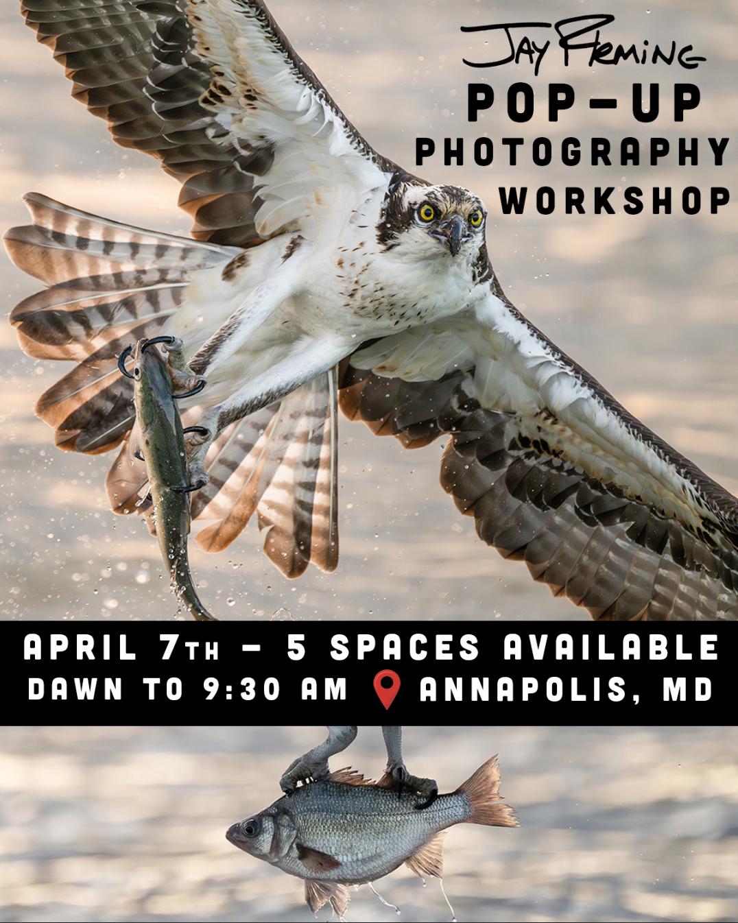 Screen Shot 2026-04-06 at 10.51.17 AM.png