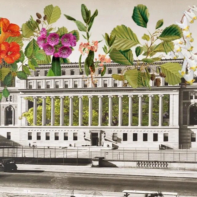 Things to Do This Week in Quarantine