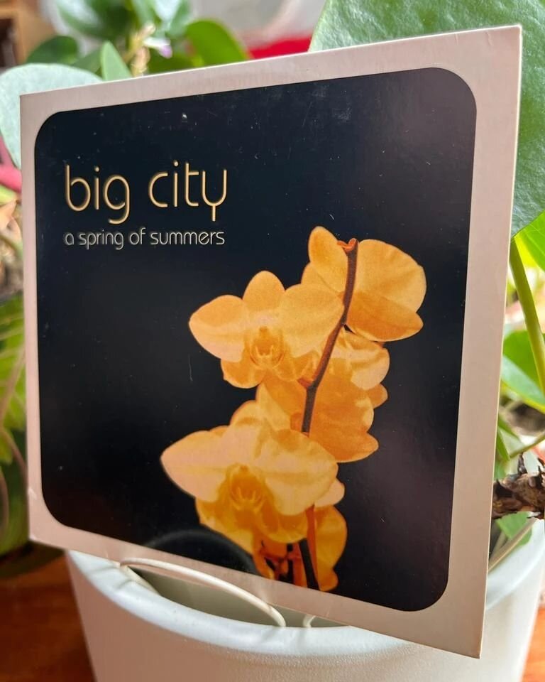 A Spring of Summers cumple veinte a&ntilde;os hoy. The Way the Trees Are cumple diez. 13 de mayo, champ&aacute;n para todos. 💙
. 
#bigcity