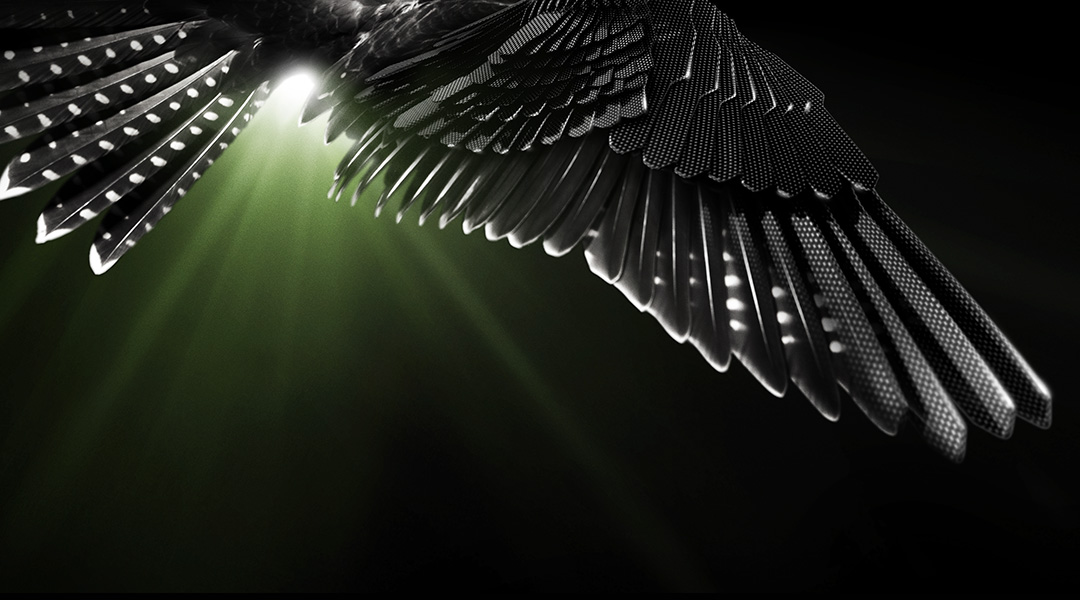 AJXX8 jus wings.jpg