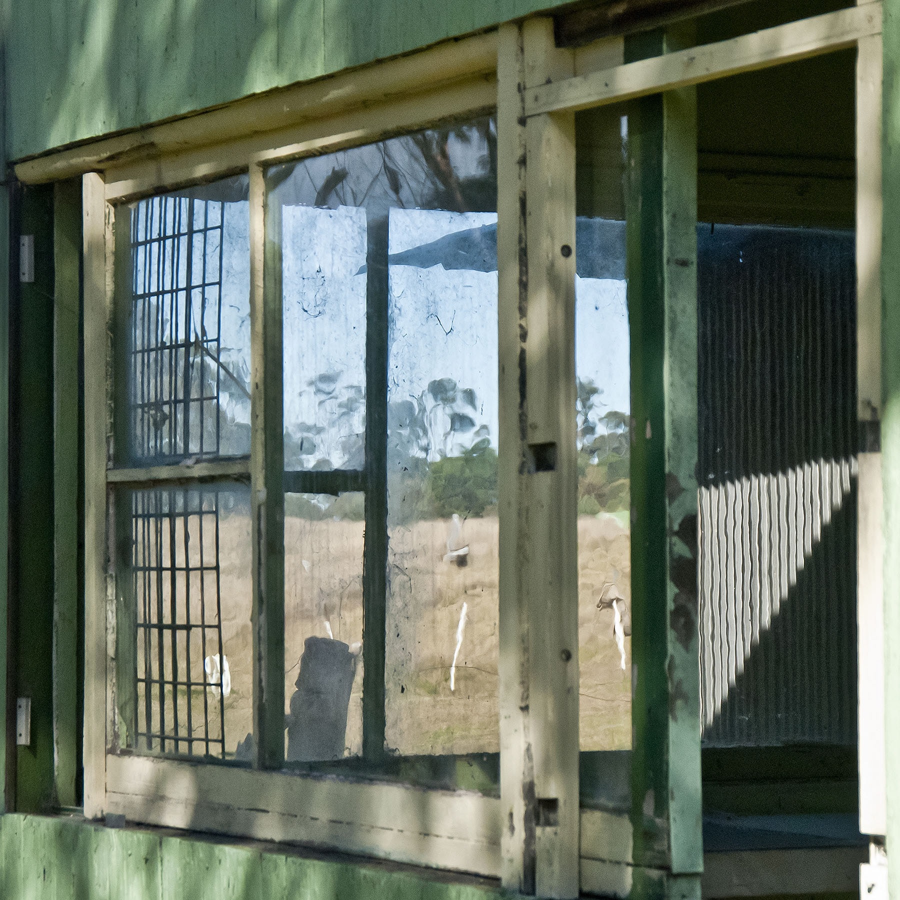 Remainder ( New South Wales) , archival photograph on aluminum, 24" x 24" x 1"