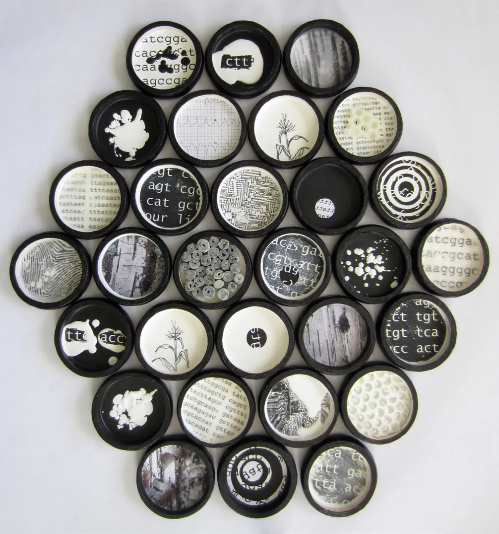 Collection (Part 1)