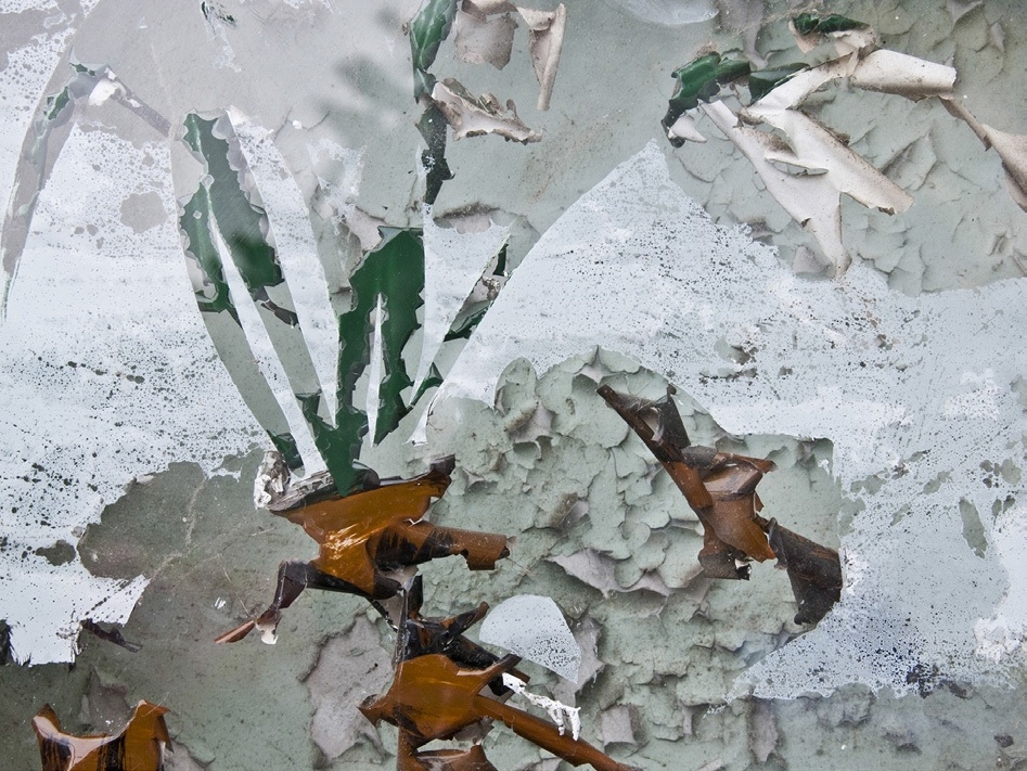 Reflection (Medfield State Hospital) , photograph