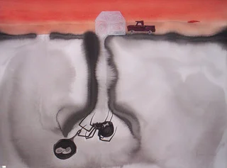 Collector Diaries #1