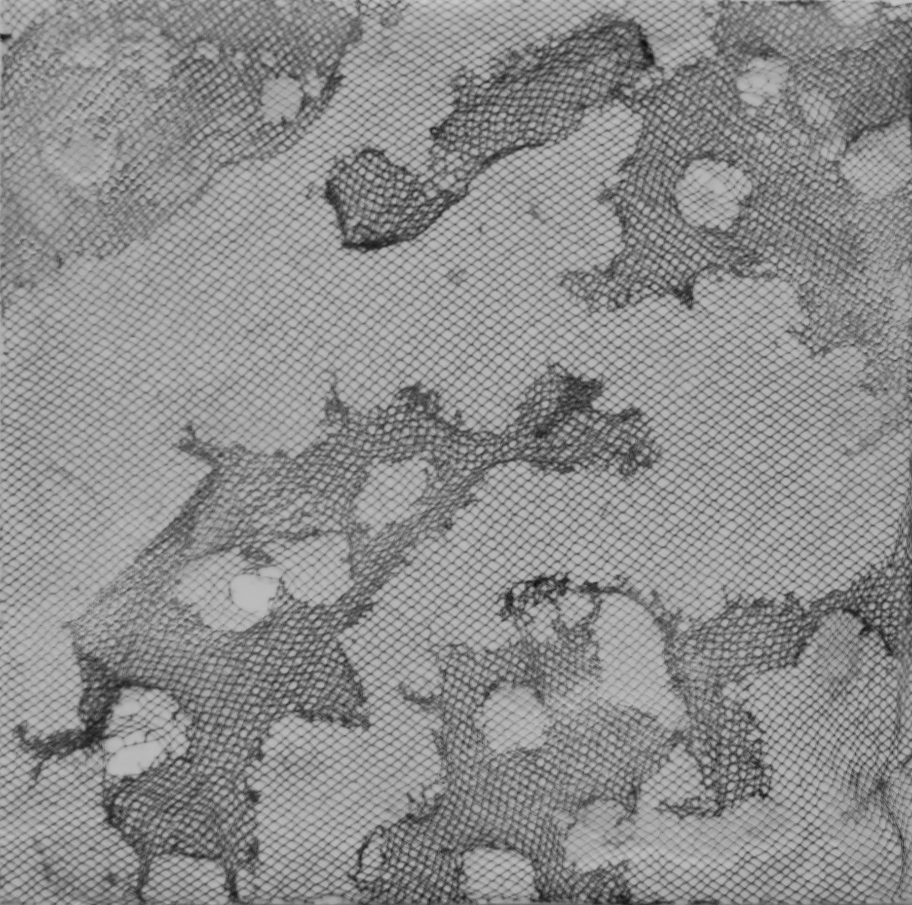 Hartung_BioEmulsion3.jpg
