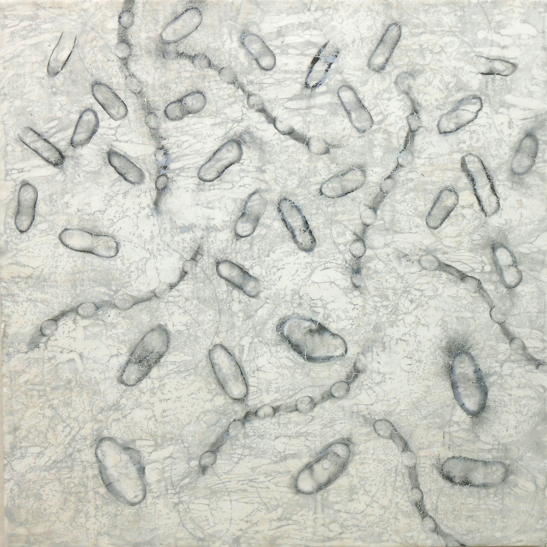 Hartung_Dispersion1.jpg