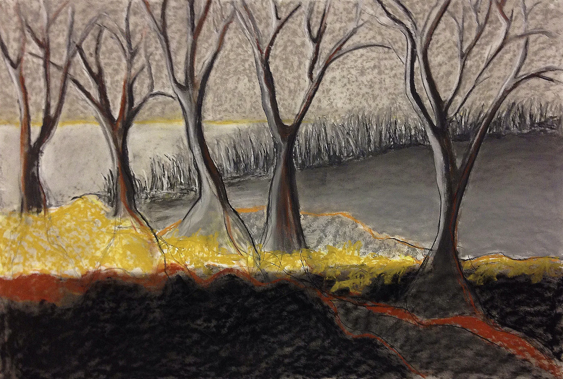 Scout K. Austin and Kellie Weeks, Untitled No. 14, pastel and charcoal, 44 x 30 in., $600.00